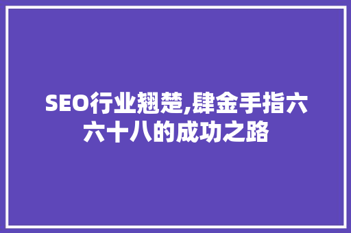 SEO行业翘楚,肆金手指六六十八的成功之路