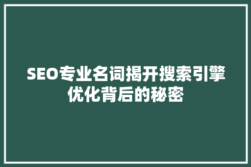 SEO专业名词揭开搜索引擎优化背后的秘密  第1张