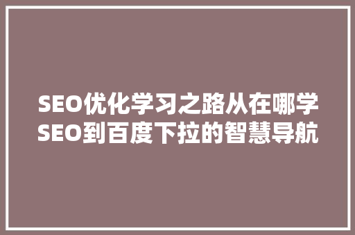 SEO优化学习之路从在哪学SEO到百度下拉的智慧导航  第1张