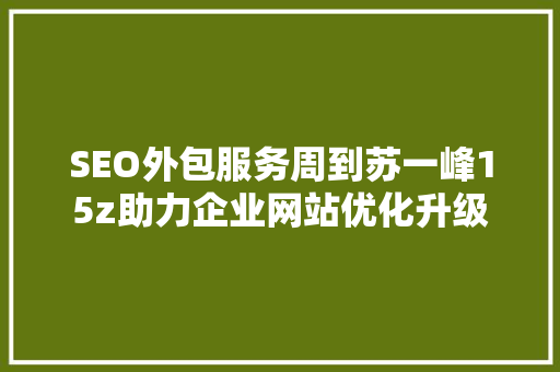 SEO外包服务周到苏一峰15z助力企业网站优化升级  第1张