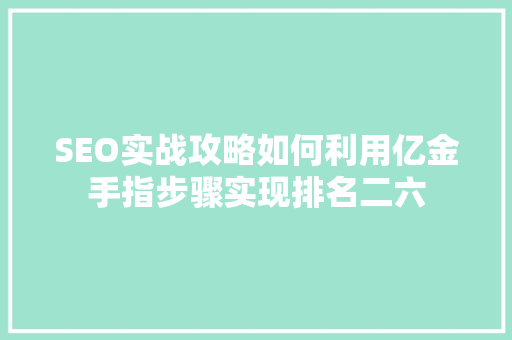 SEO实战攻略如何利用亿金手指步骤实现排名二六