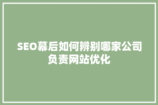 SEO幕后如何辨别哪家公司负责网站优化