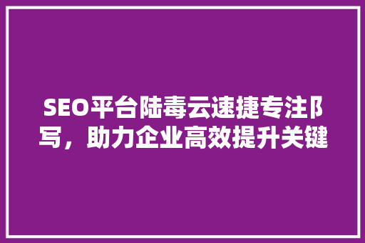 SEO平台陆毒云速捷专注阝写，助力企业高效提升关键词排名  第1张