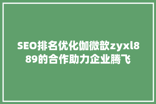SEO排名优化伽微歆zyxl889的合作助力企业腾飞
