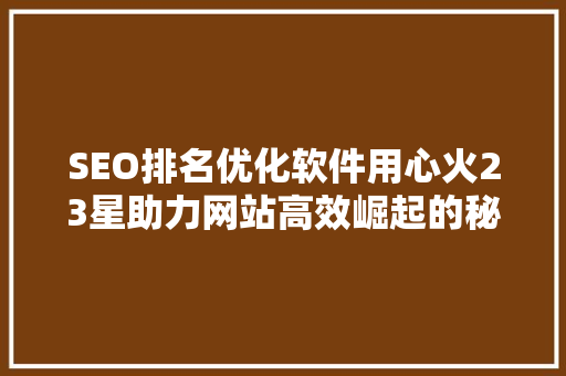 SEO排名优化软件用心火23星助力网站高效崛起的秘密武器