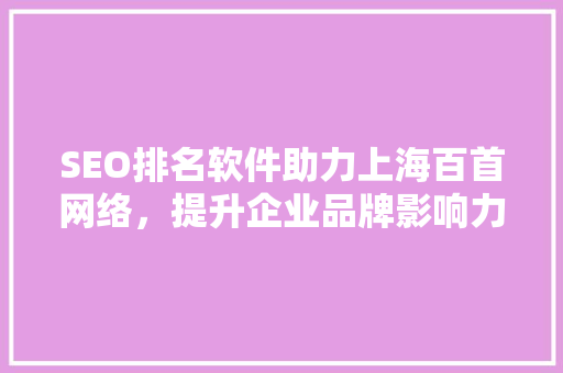 SEO排名软件助力上海百首网络，提升企业品牌影响力  第1张