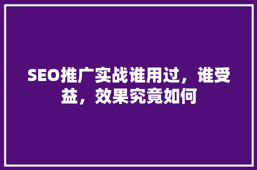 SEO推广实战谁用过，谁受益，效果究竟如何
