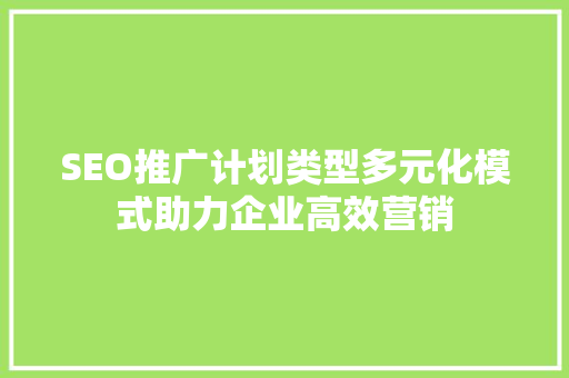 SEO推广计划类型多元化模式助力企业高效营销