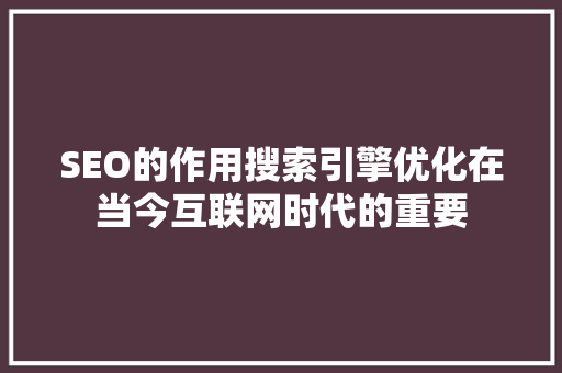SEO的作用搜索引擎优化在当今互联网时代的重要