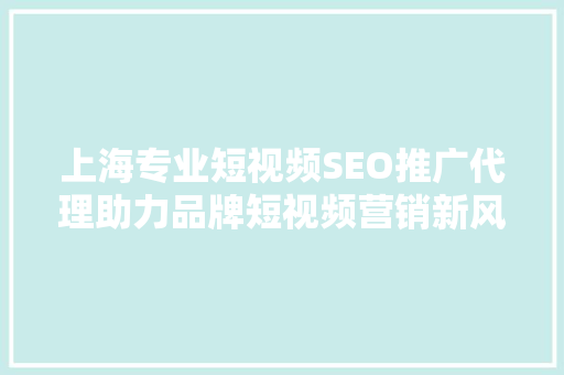 上海专业短视频SEO推广代理助力品牌短视频营销新风向