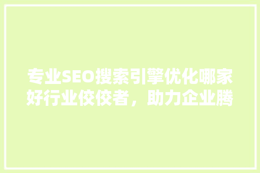 专业SEO搜索引擎优化哪家好行业佼佼者，助力企业腾飞