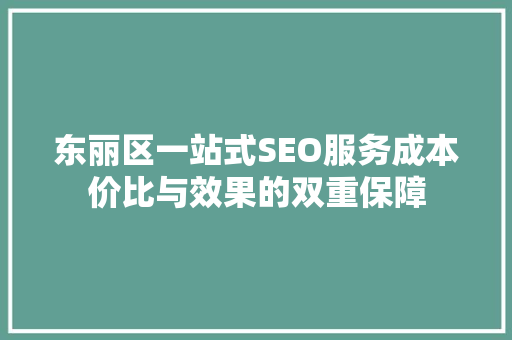 东丽区一站式SEO服务成本价比与效果的双重保障  第1张