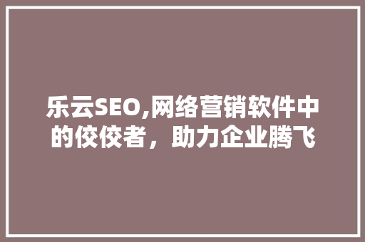 乐云SEO,网络营销软件中的佼佼者，助力企业腾飞  第1张