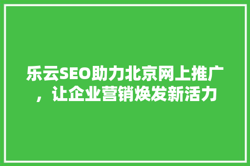 乐云SEO助力北京网上推广，让企业营销焕发新活力