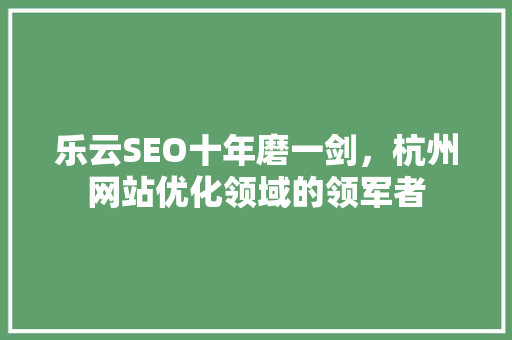乐云SEO十年磨一剑，杭州网站优化领域的领军者