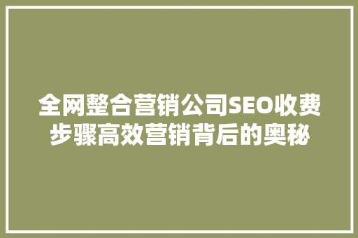 全网整合营销公司SEO收费步骤高效营销背后的奥秘  第1张