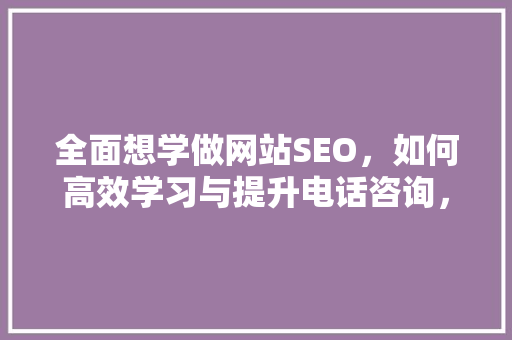 全面想学做网站SEO，如何高效学习与提升电话咨询，助你一臂之力  第1张