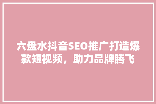 六盘水抖音SEO推广打造爆款短视频，助力品牌腾飞