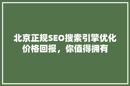 北京正规SEO搜索引擎优化价格回报，你值得拥有