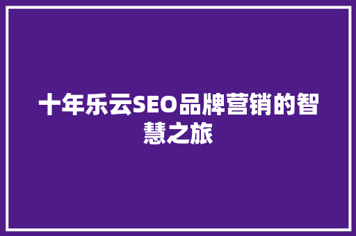 十年乐云SEO品牌营销的智慧之旅
