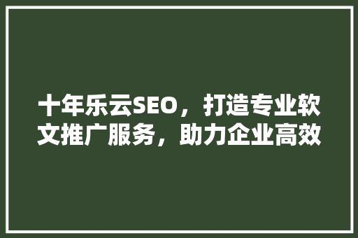 十年乐云SEO，打造专业软文推广服务，助力企业高效增长