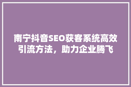 南宁抖音SEO获客系统高效引流方法，助力企业腾飞