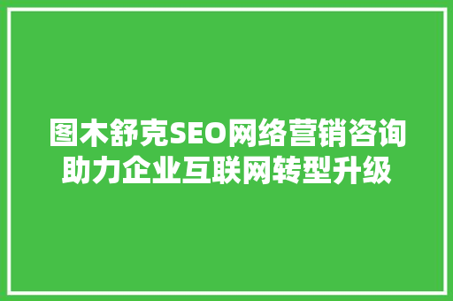 图木舒克SEO网络营销咨询助力企业互联网转型升级
