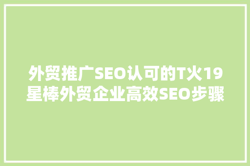 外贸推广SEO认可的T火19星棒外贸企业高效SEO步骤