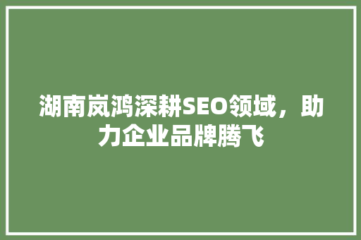 湖南岚鸿深耕SEO领域，助力企业品牌腾飞  第1张