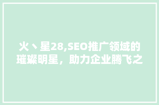 火丶星28,SEO推广领域的璀璨明星，助力企业腾飞之路  第1张