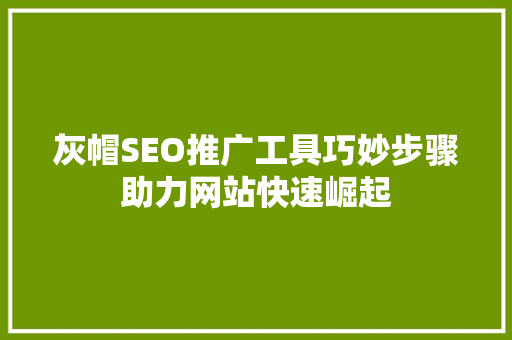 灰帽SEO推广工具巧妙步骤助力网站快速崛起