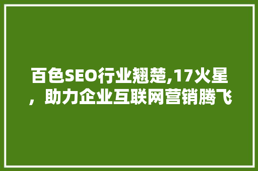 百色SEO行业翘楚,17火星，助力企业互联网营销腾飞