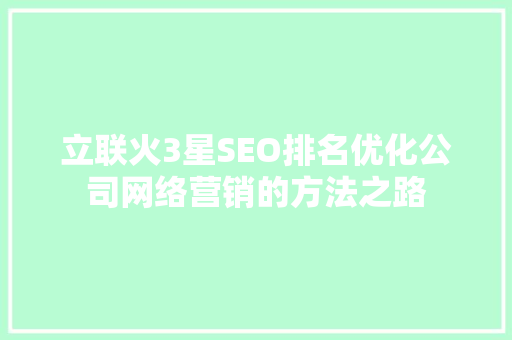 立联火3星SEO排名优化公司网络营销的方法之路