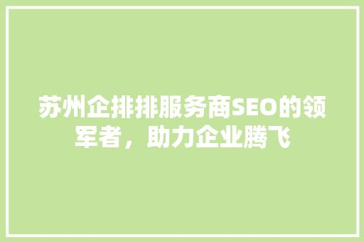 苏州企排排服务商SEO的领军者，助力企业腾飞