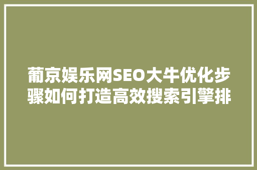 葡京娱乐网SEO大牛优化步骤如何打造高效搜索引擎排名