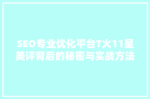 SEO专业优化平台T火11星美评背后的秘密与实战方法  第1张