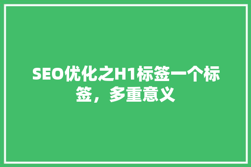 SEO优化之H1标签一个标签，多重意义