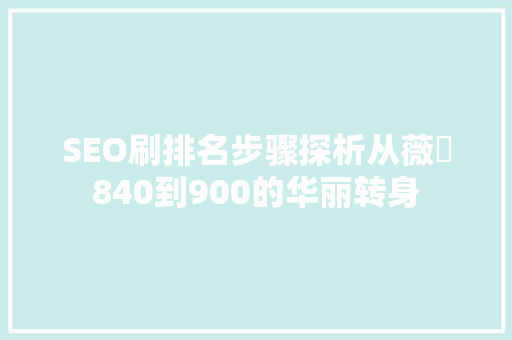 SEO刷排名步骤探析从薇鈊840到900的华丽转身