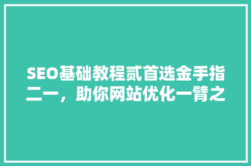 SEO基础教程贰首选金手指二一，助你网站优化一臂之力