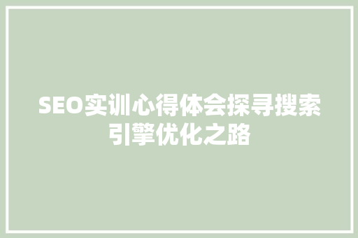 SEO实训心得体会探寻搜索引擎优化之路