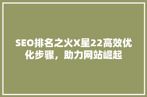 SEO排名之火X星22高效优化步骤，助力网站崛起