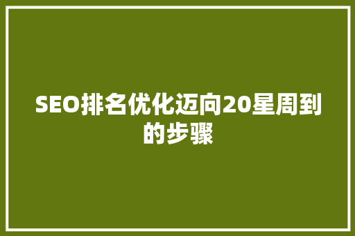 SEO排名优化迈向20星周到的步骤