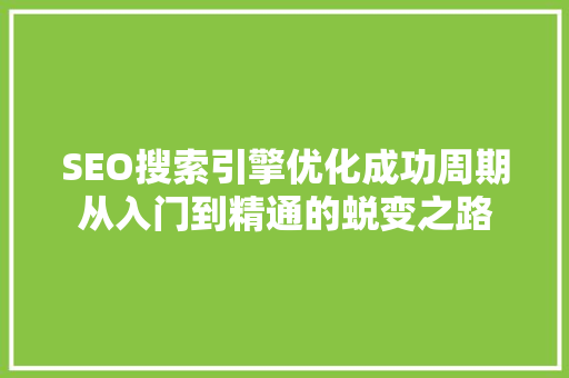 SEO搜索引擎优化成功周期从入门到精通的蜕变之路