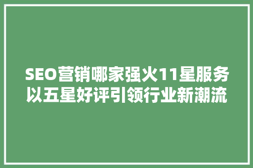 SEO营销哪家强火11星服务以五星好评引领行业新潮流  第1张