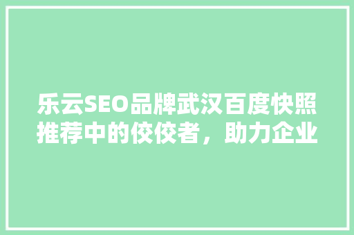 乐云SEO品牌武汉百度快照推荐中的佼佼者，助力企业腾飞