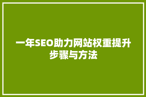 一年SEO助力网站权重提升步骤与方法