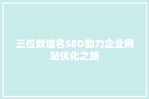 三位数域名SEO助力企业网站优化之路  第1张