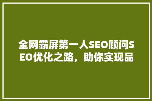 全网霸屏第一人SEO顾问SEO优化之路，助你实现品牌崛起
