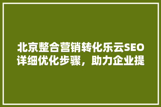 北京整合营销转化乐云SEO详细优化步骤，助力企业提升网络竞争力