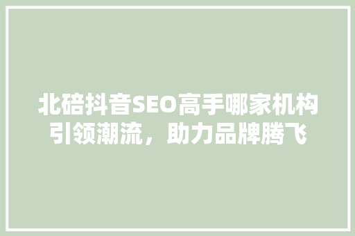 北碚抖音SEO高手哪家机构引领潮流，助力品牌腾飞